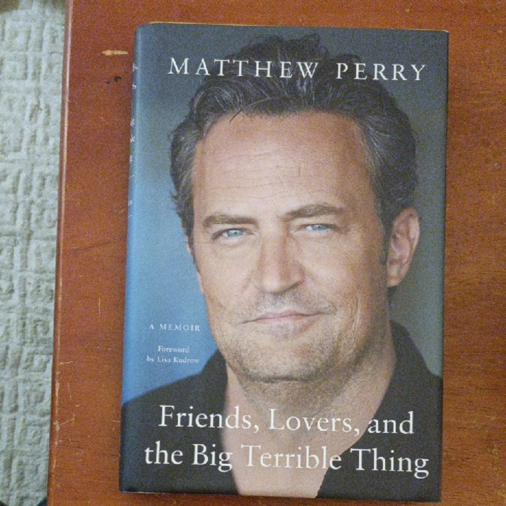 Friends, Lovers, and the Big Terrible Thing Book